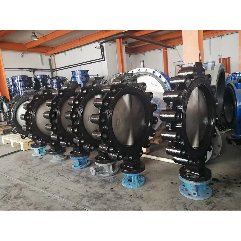 Comhla féileacán sliseog de chineál lug