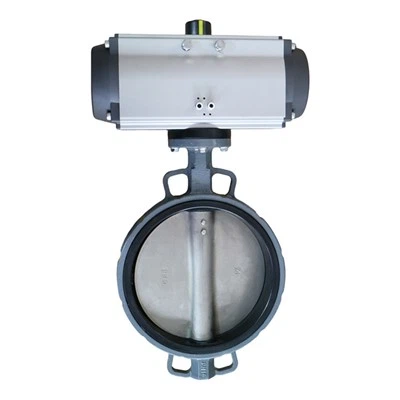 Comhla sliseog neomatach CS CS